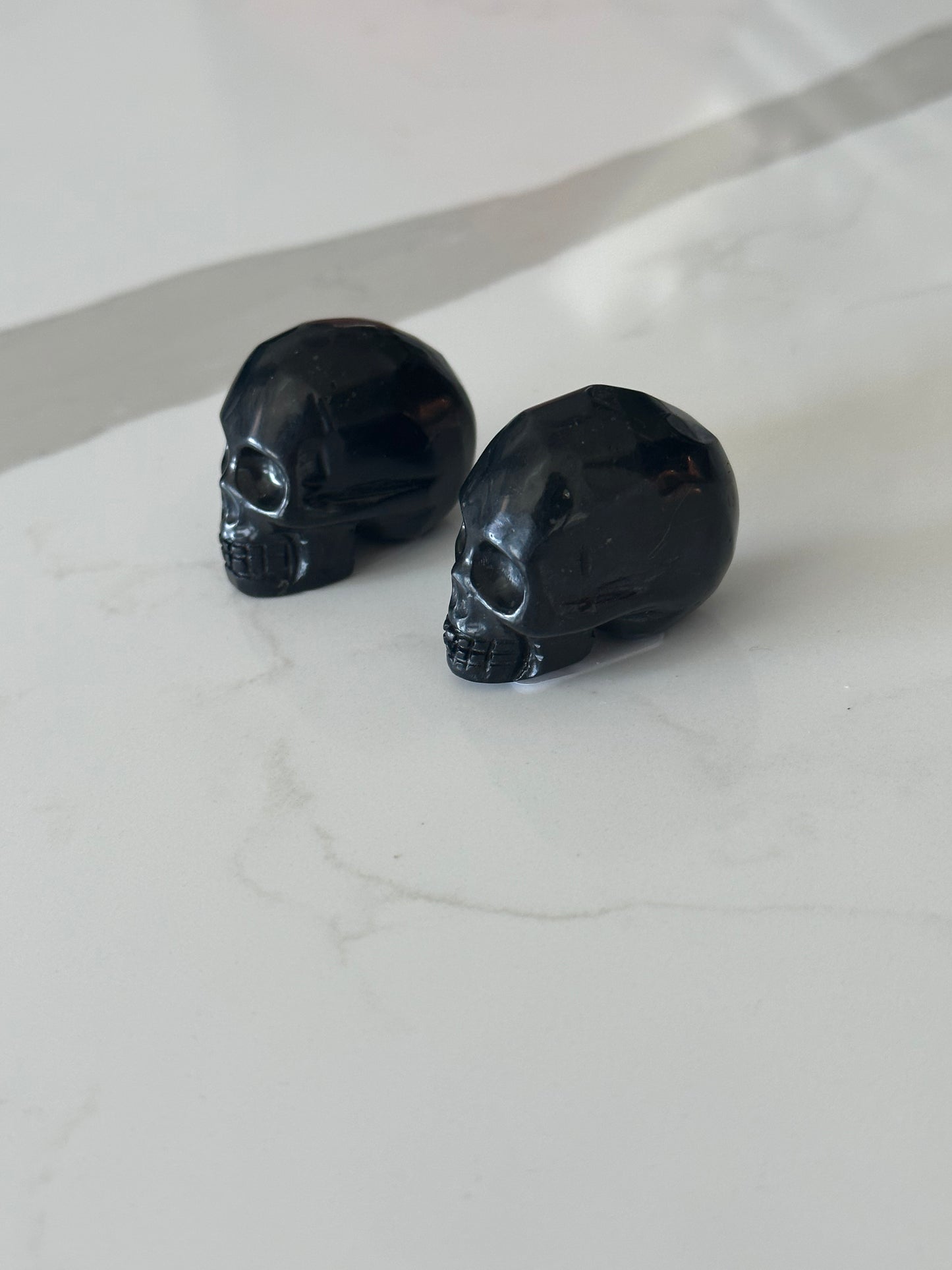 Mini Shungite Skulls (EMF Protection)
