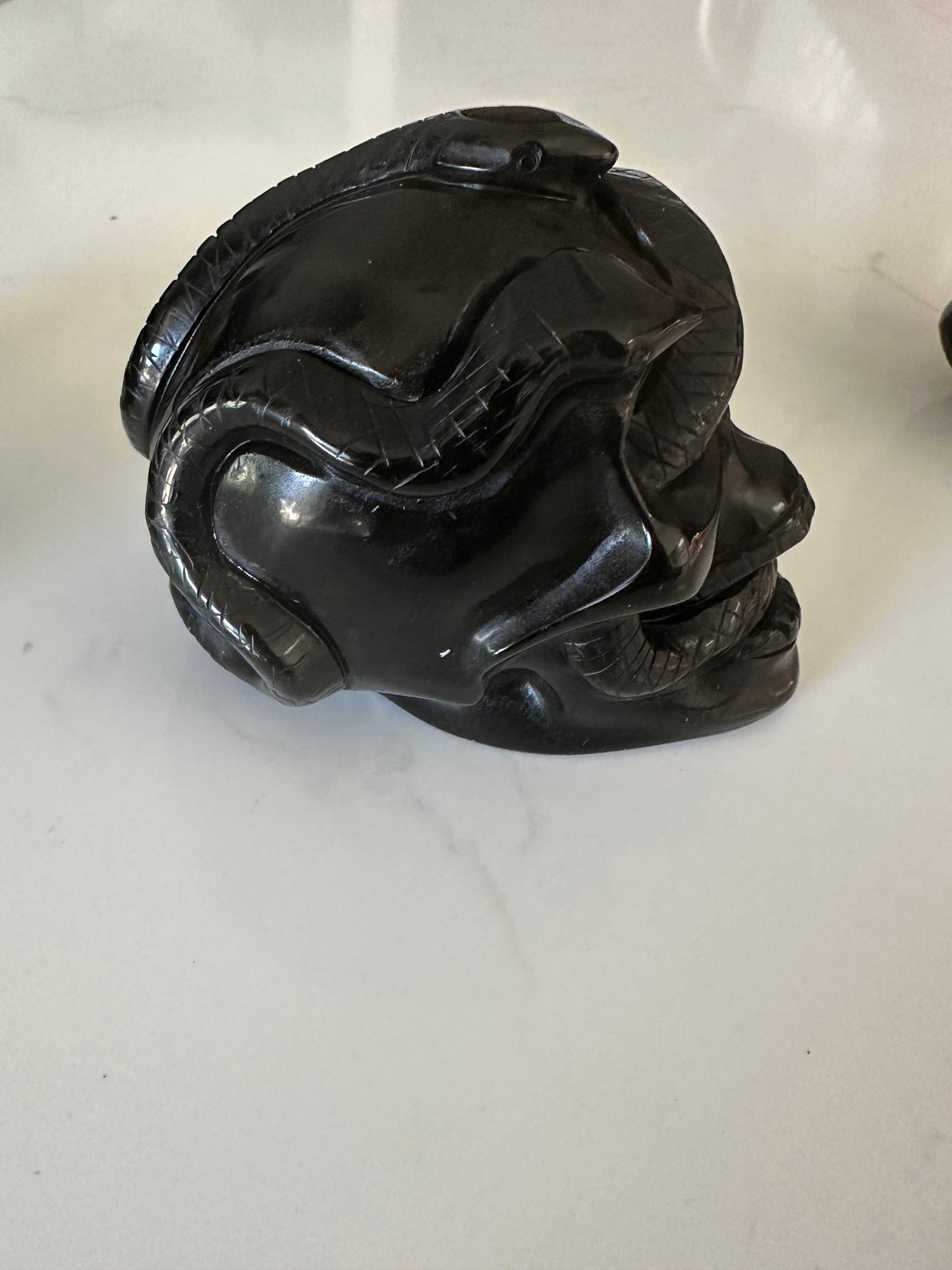 Black Obsidian Snake Skull
