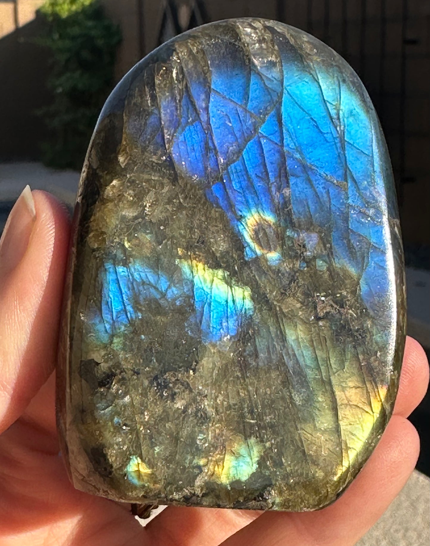 Labradorite Freeform