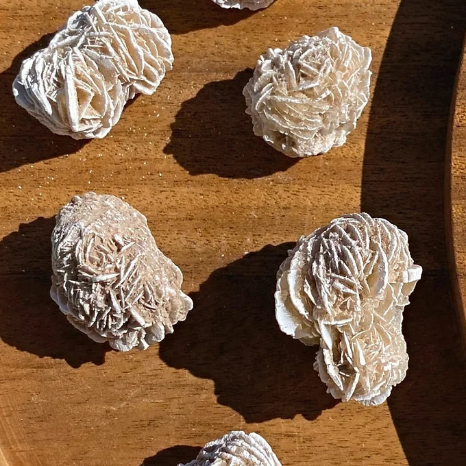 Desert Rose