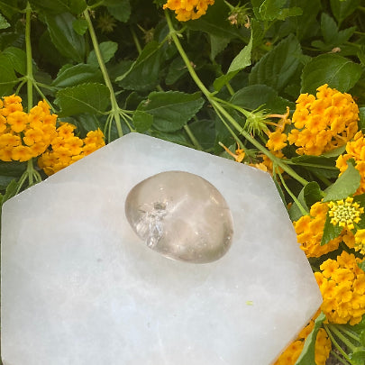 Smoky Quartz Palm Stone
