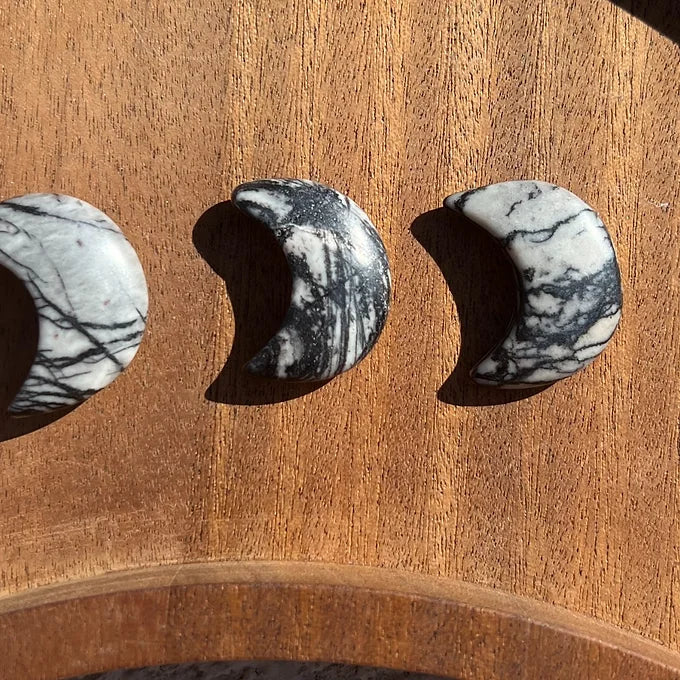 Spider Web Jasper Moons