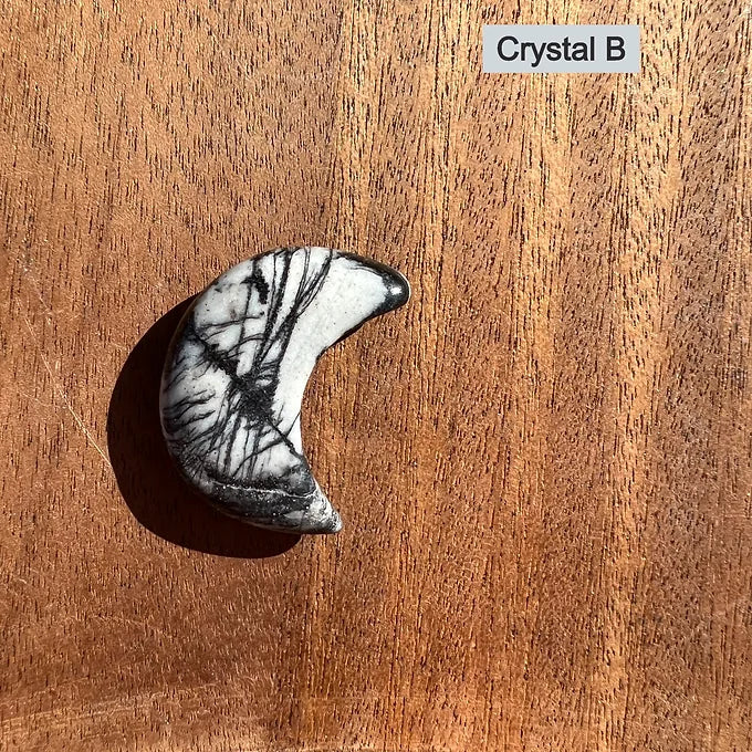 Spider Web Jasper Moons