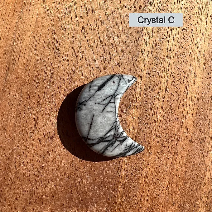 Spider Web Jasper Moons