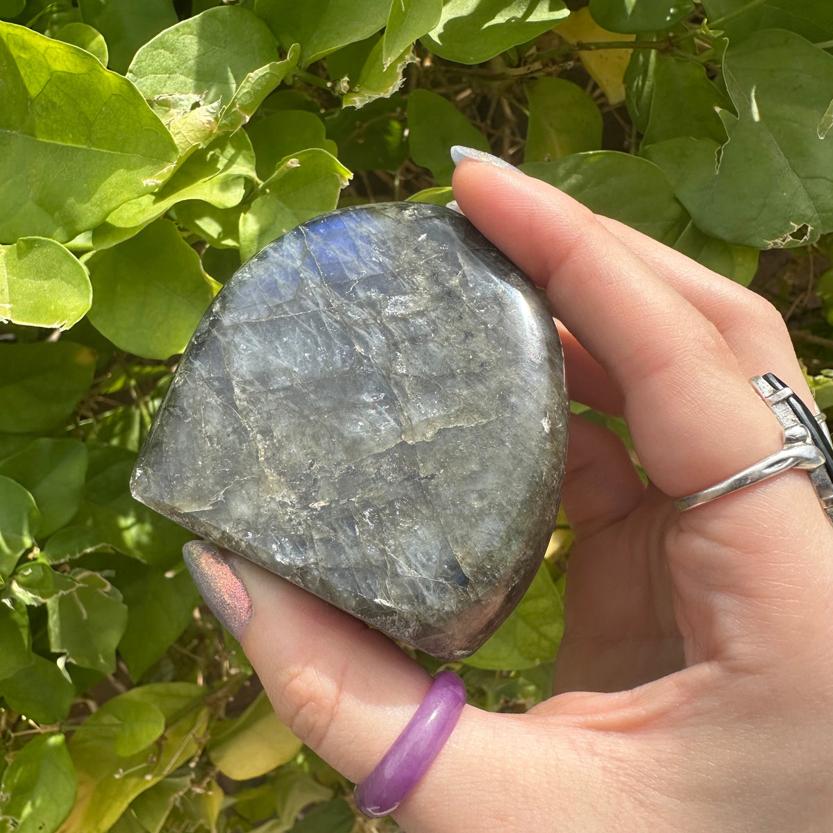 Mini Labradorite Freeform