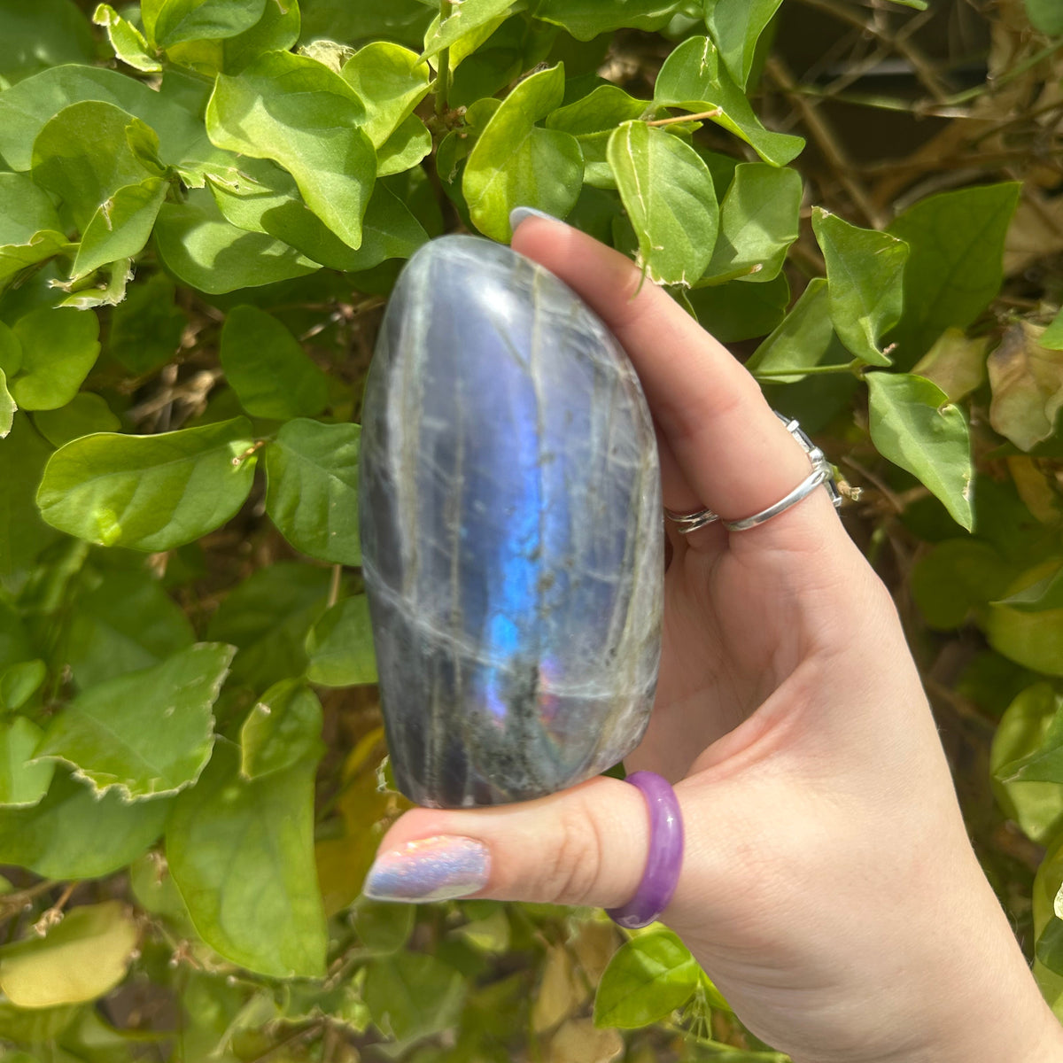 Mini Labradorite Freeform