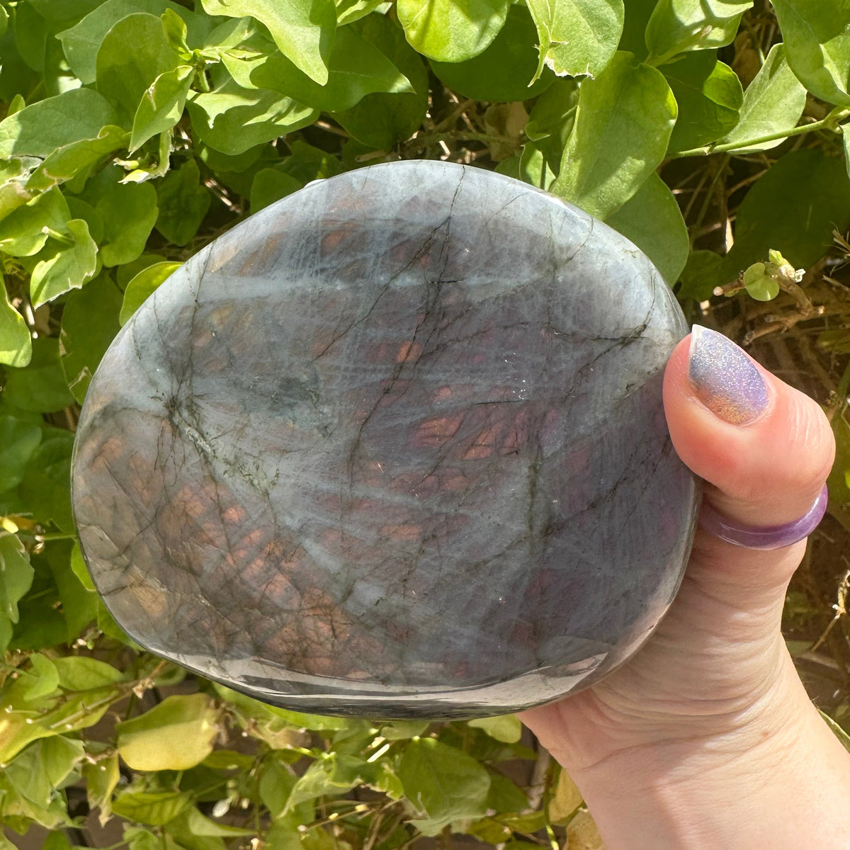Sunset Labradorite freeform
