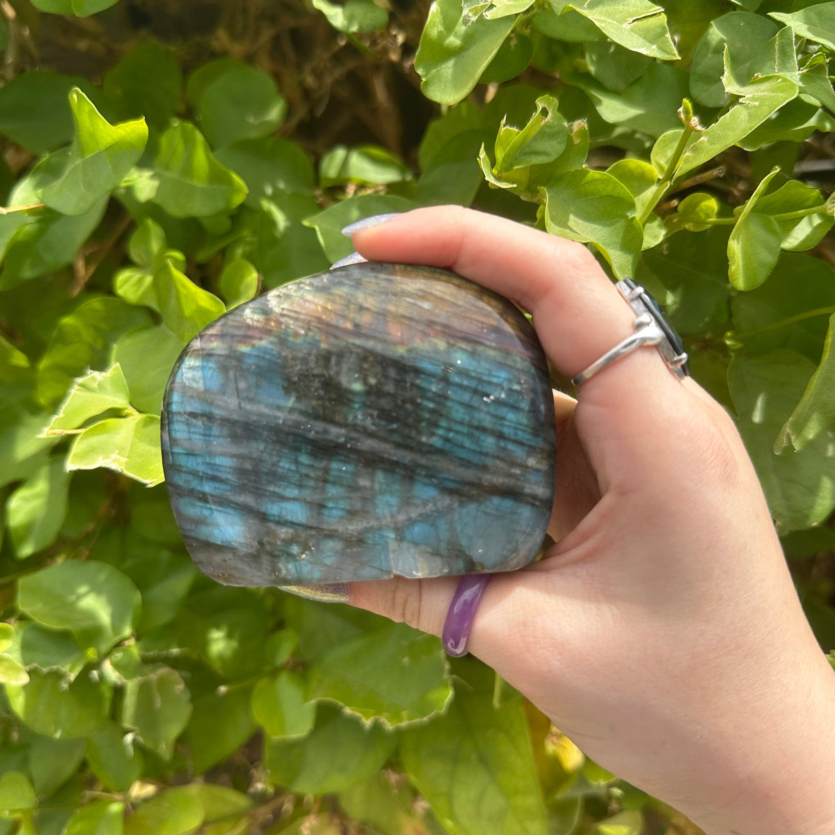 Mini Labradorite Freeform