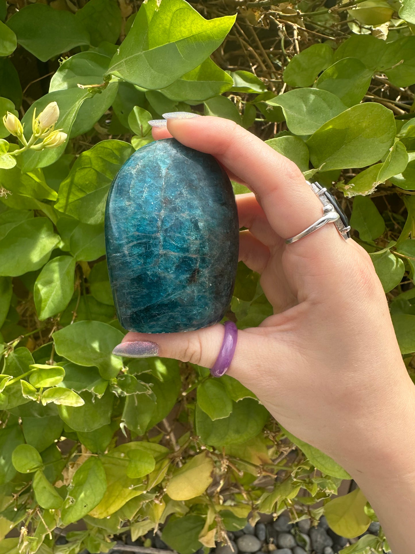 Blue Apatite Free Form