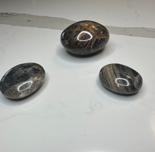 Black Moonstone Palm Stone