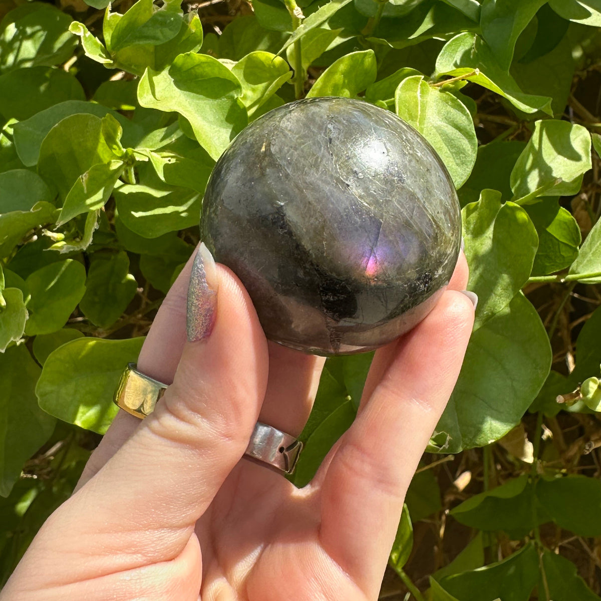 Small Starry Labradorite Spheres
