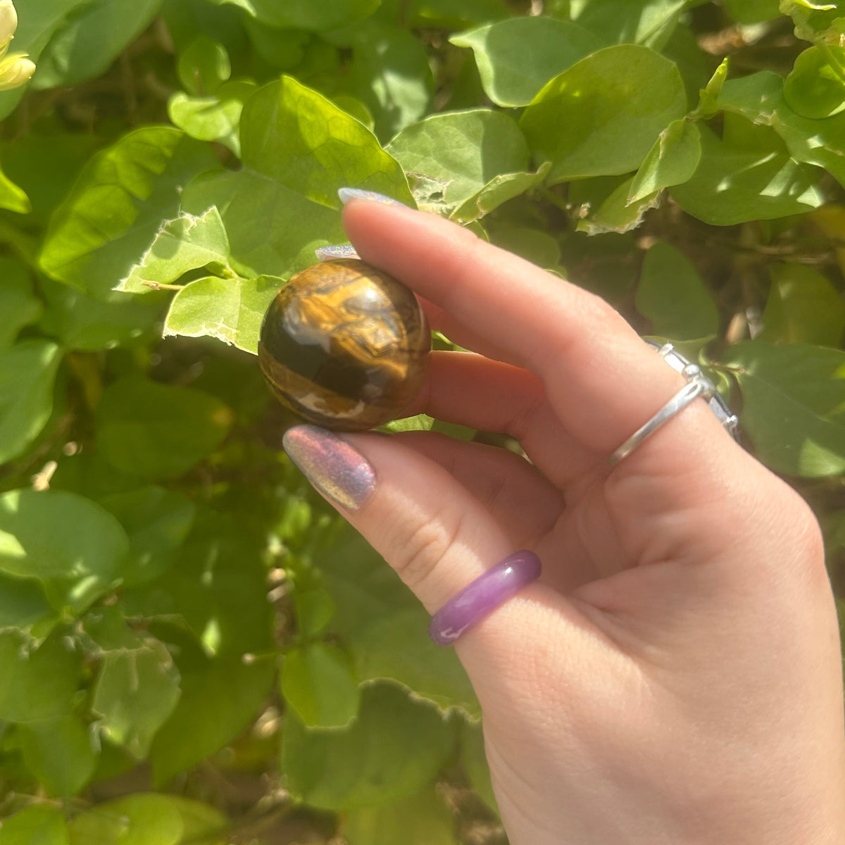 Mini Tigers Eye Spheres