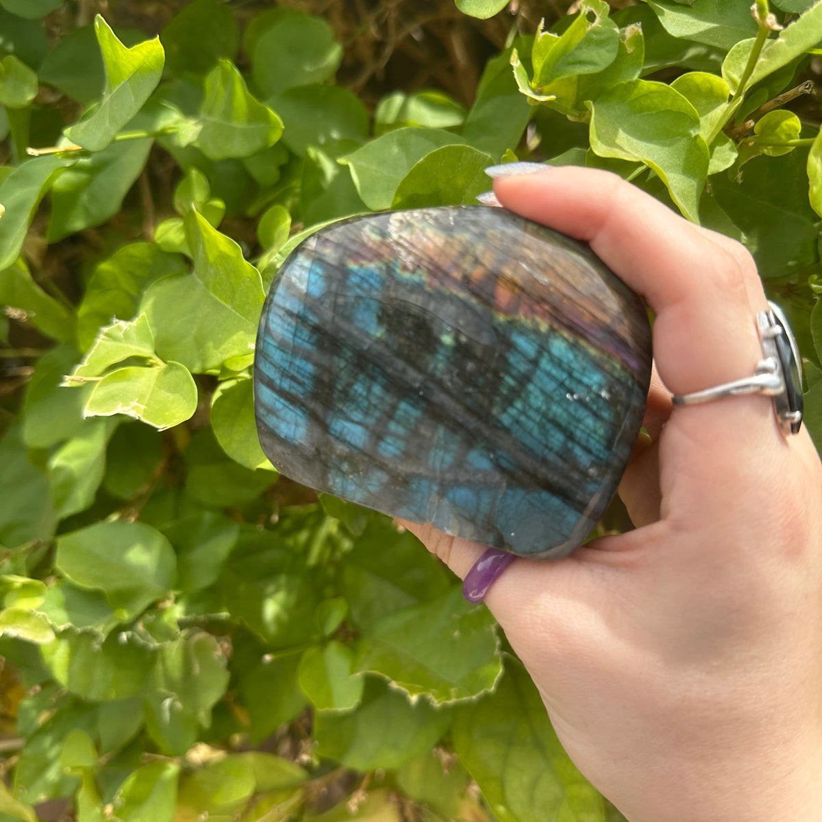 Mini Labradorite Freeform