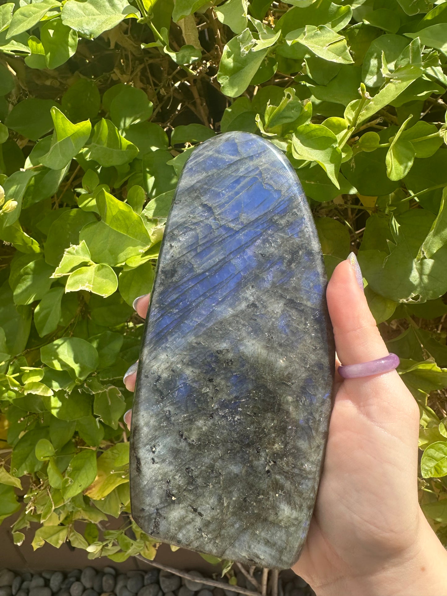Flashy Large Labradorite Freeform (Blue & Violet)