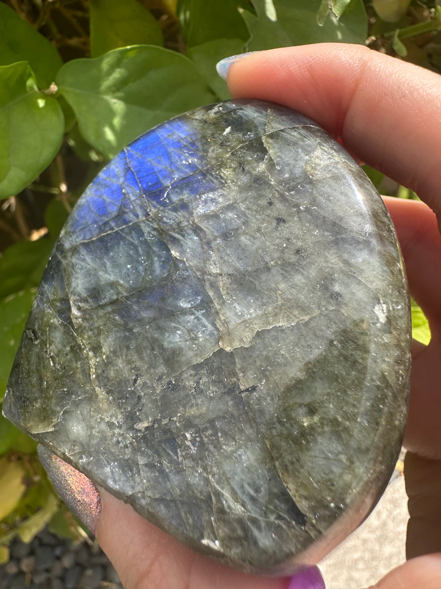 Mini Labradorite Freeform