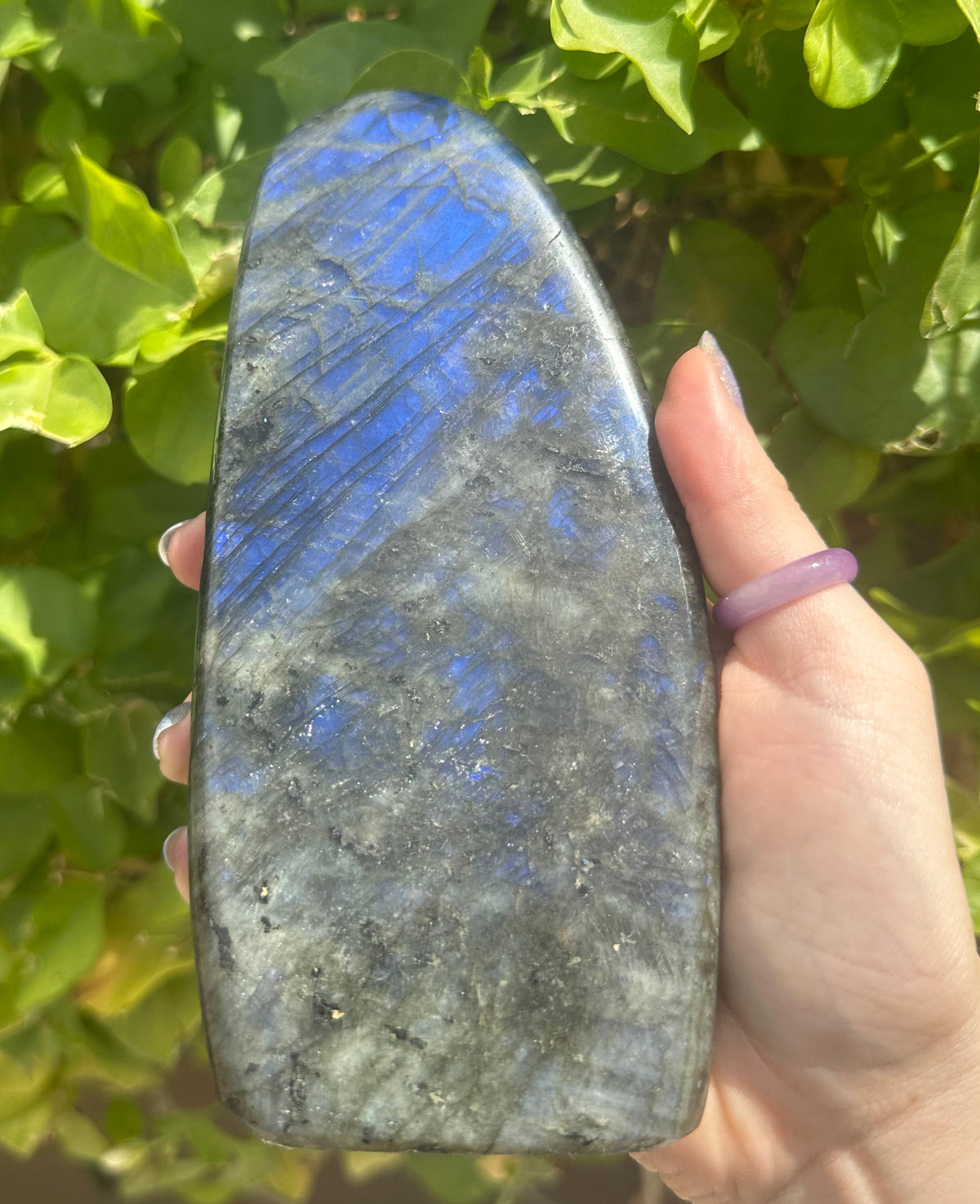 Flashy Large Labradorite Freeform (Blue & Violet)
