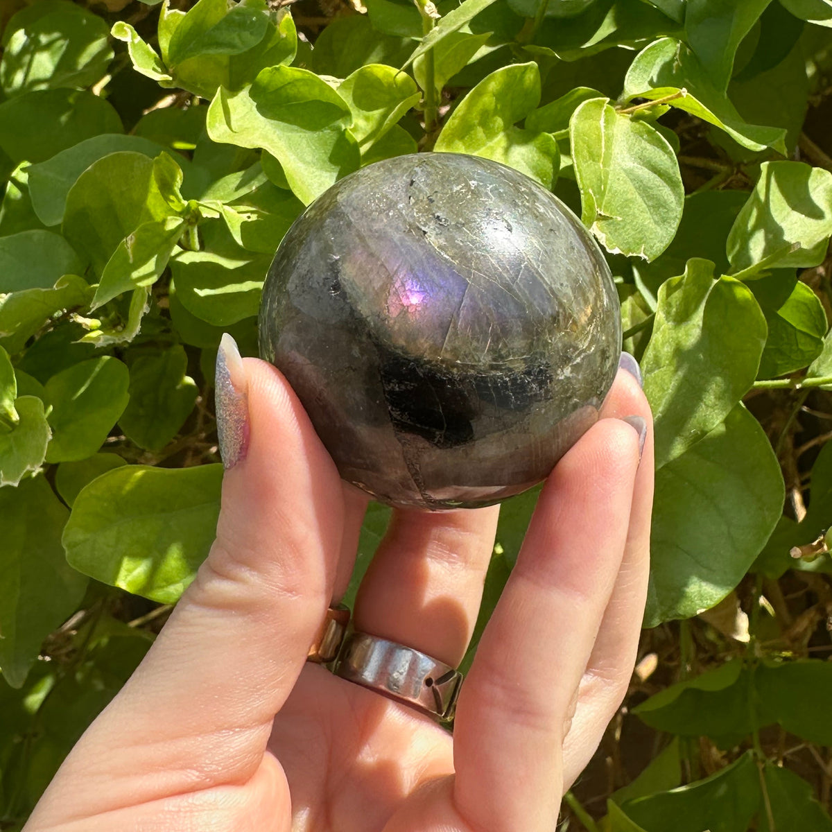 Small Starry Labradorite Spheres