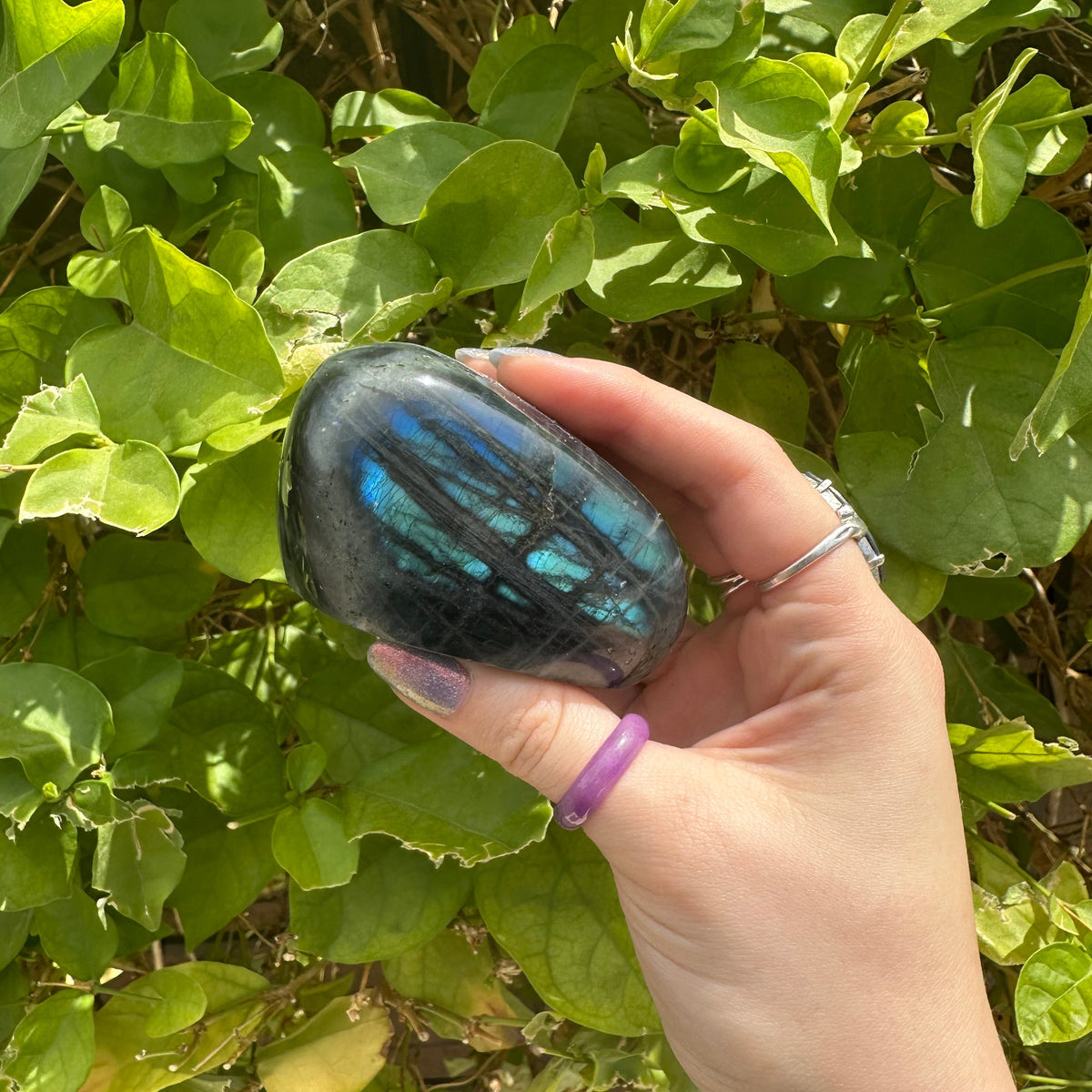 Mini Labradorite Freeform